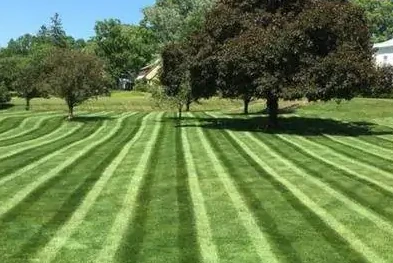 Expert Lawn Care Services